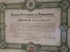 Diploma de Pharmacêutico - Dilo